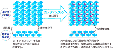 Optical net structure（オプティカル・ネットストラクチャー：光学網目構造体）
